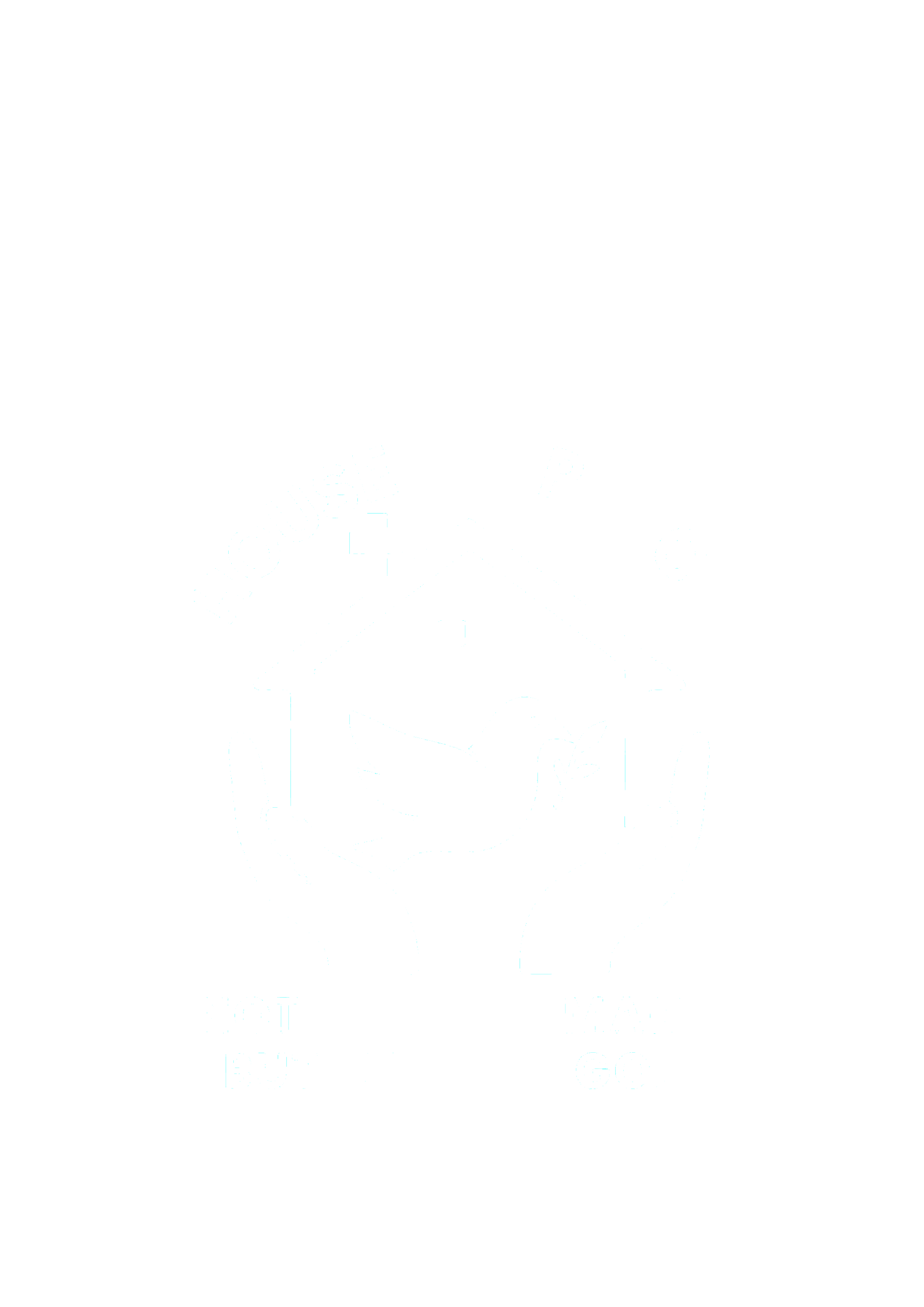 house of peace logo white